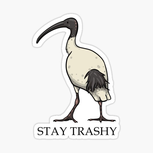 Item preview, Stay trashy - bin chicken designed and sold by Milanicole.