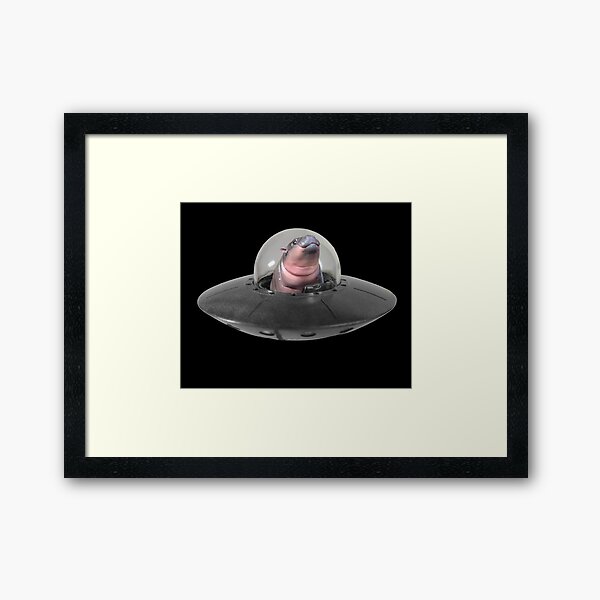 Item preview, Moo Deng UFO Pilot designed and sold by CreatureHouse95.
