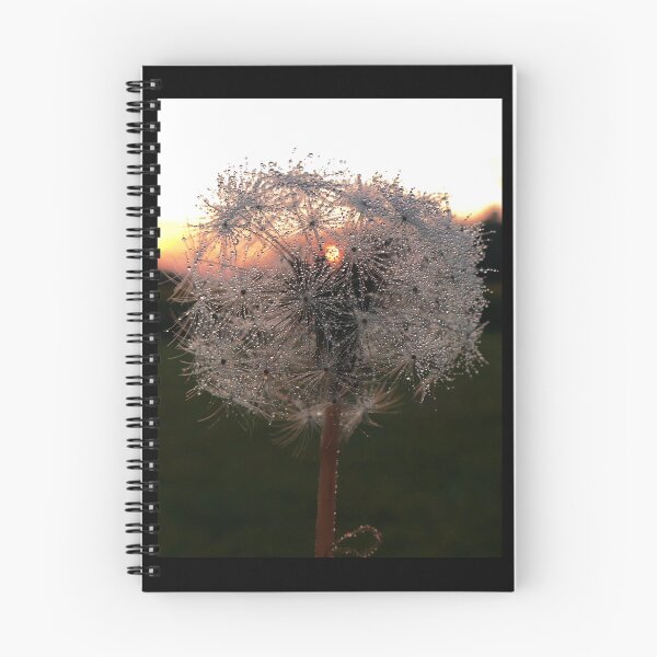 Item preview, Colorful Dandelion and Dew designed and sold by MZukoPhoto.