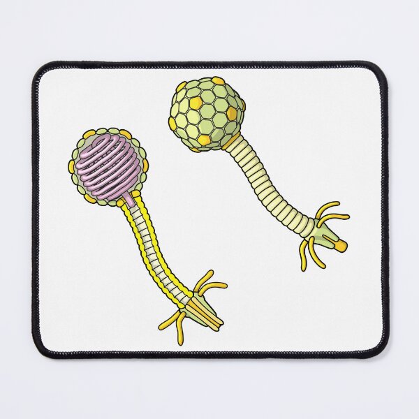 Item preview, Lambda Bacteriophage Illustration designed and sold by taylorcustom.