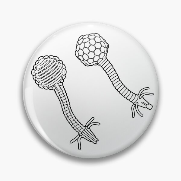 Item preview, Lambda Bacteriophage Line Drawing designed and sold by taylorcustom.