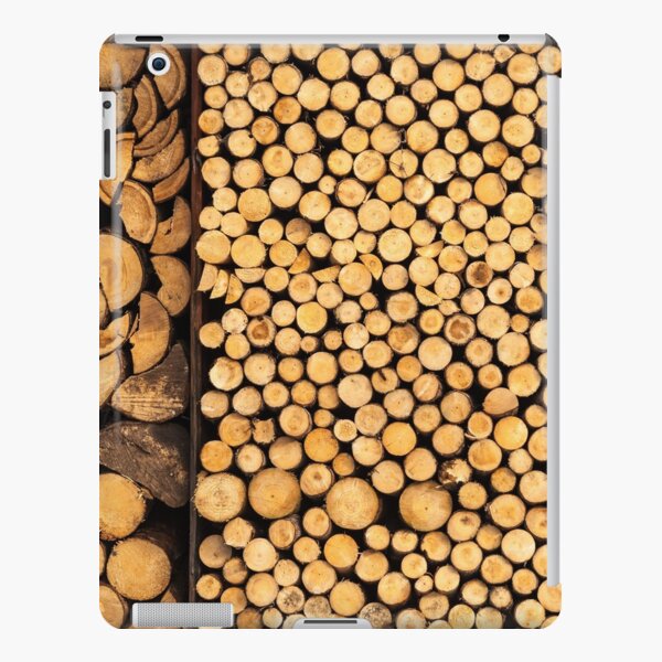 For Winter iPad Snap Case