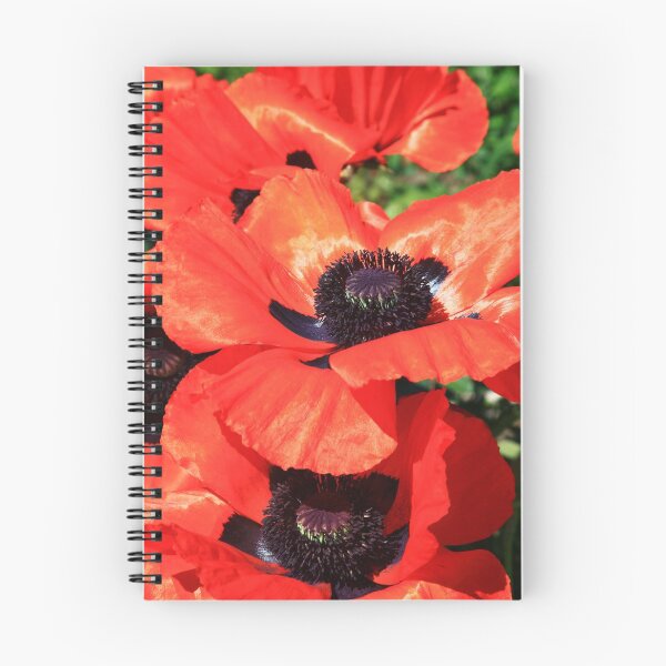 Item preview, poppy designed and sold by Falko-Follert.