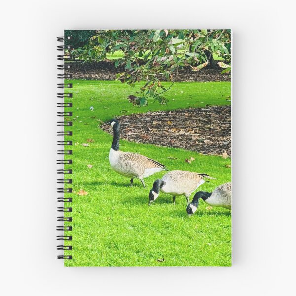 Item preview, Canadian Geese designed and sold by ColourfulNomad.