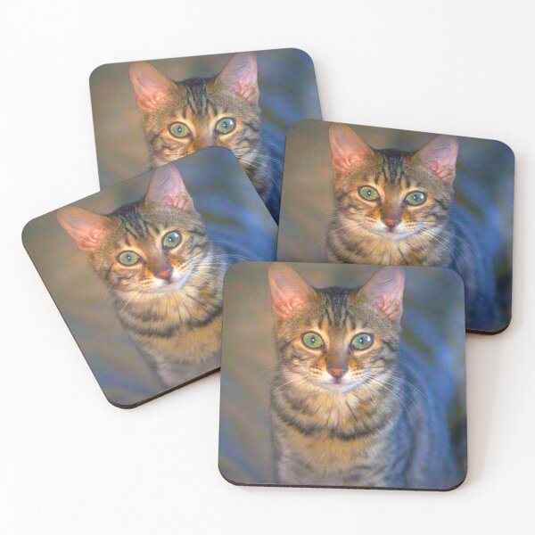 Item preview, The cat designed and sold by MyWorkz.