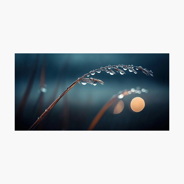 Item preview, Morning Dew During Golden Hour designed and sold by DigiCre8.