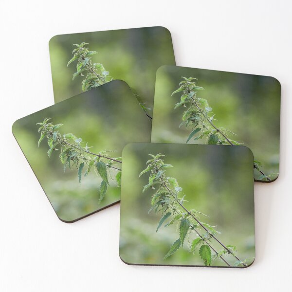 Item preview, Stinging nettle designed and sold by Jouko Lehto Photography.