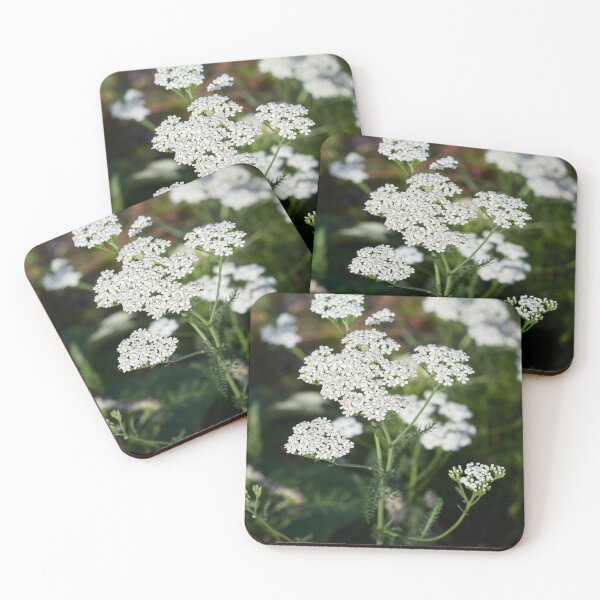 Item preview, Yarrow designed and sold by Jouko Lehto Photography.