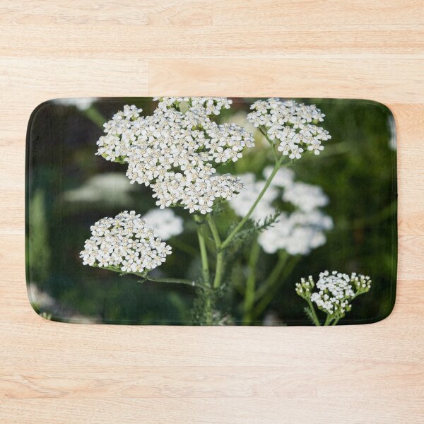 Item preview, Yarrow designed and sold by Jouko Lehto Photography.