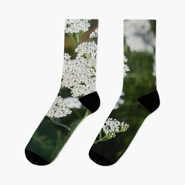 Item preview, Yarrow designed and sold by Jouko Lehto Photography.