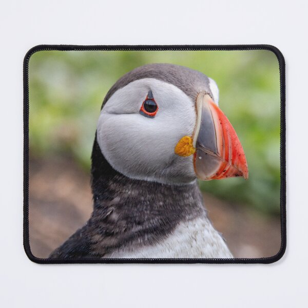 Item preview, Perfect Puffin designed and sold by Julie Wilkinson.