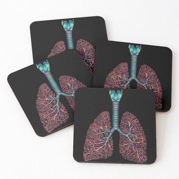 Item preview, Anatomical Lungs with Bronchial Tree designed and sold by mermaidronnie.