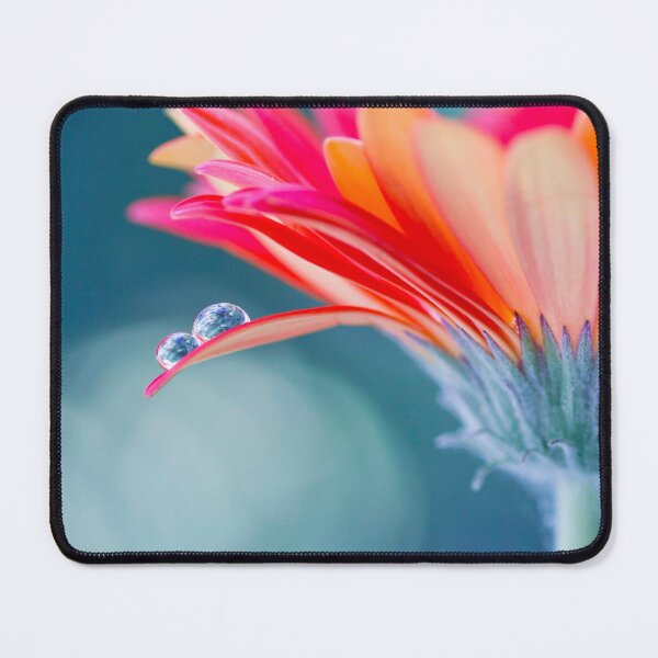 Item preview, Gerbera Daisy with Water Drops designed and sold by Kenziewenze.