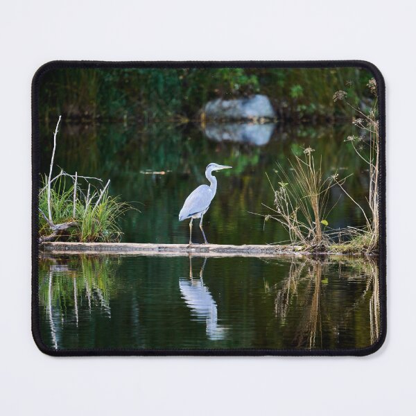 Item preview, Reflections in the evening. Grey heron designed and sold by Jouko Lehto Photography.