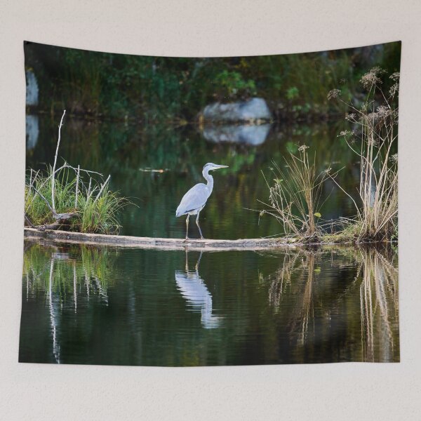Item preview, Reflections in the evening. Grey heron designed and sold by Jouko Lehto Photography.