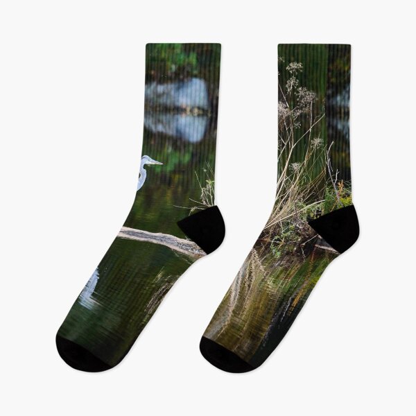 Item preview, Reflections in the evening. Grey heron designed and sold by Jouko Lehto Photography.