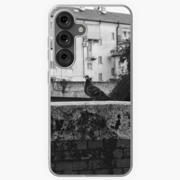 Item preview, Urban Solitude: A Pigeon's Perch designed and sold by Sysodesign.