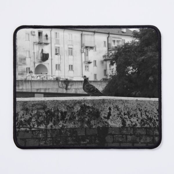 Aperçu de l'œuvre Solitude urbaine : le perchoir d'un pigeon créée et vendue par Sysodesign.
