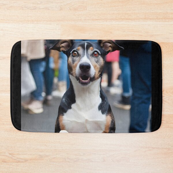Item preview, Funny Dog Meme Realize You’re at a Vegan Festival designed and sold by Quirky Shirts.
