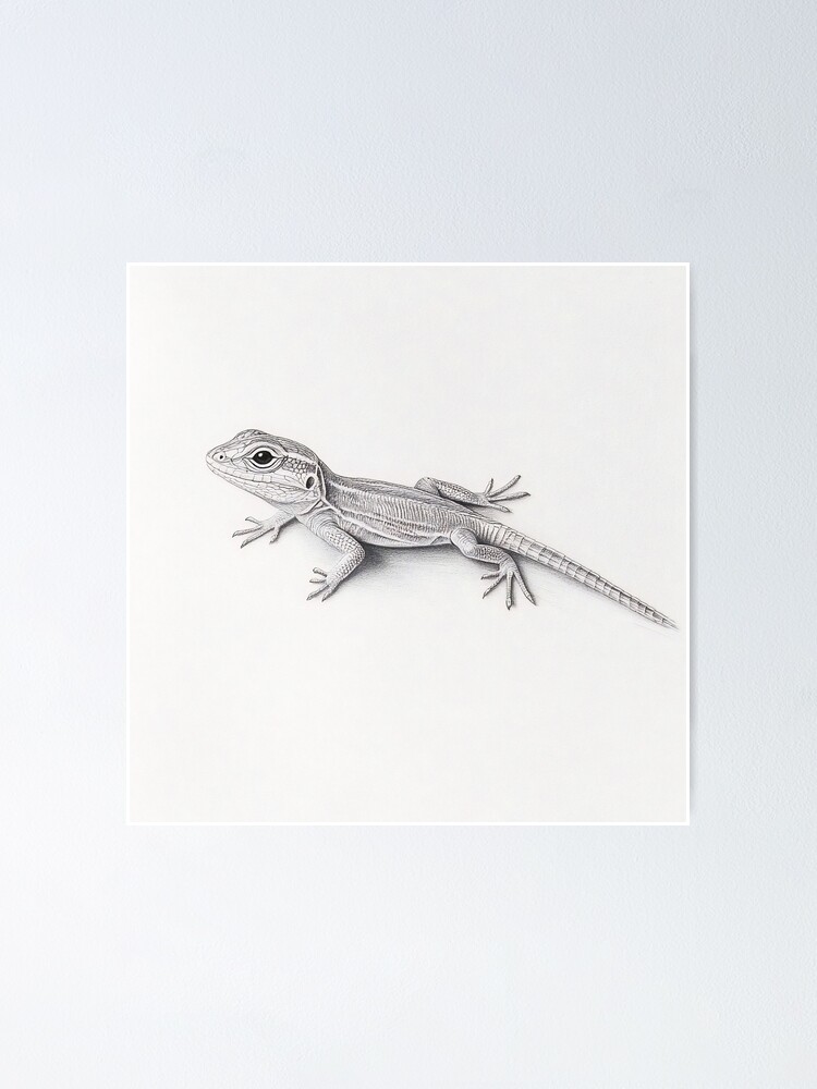 Black and white Lizard pencil drawing