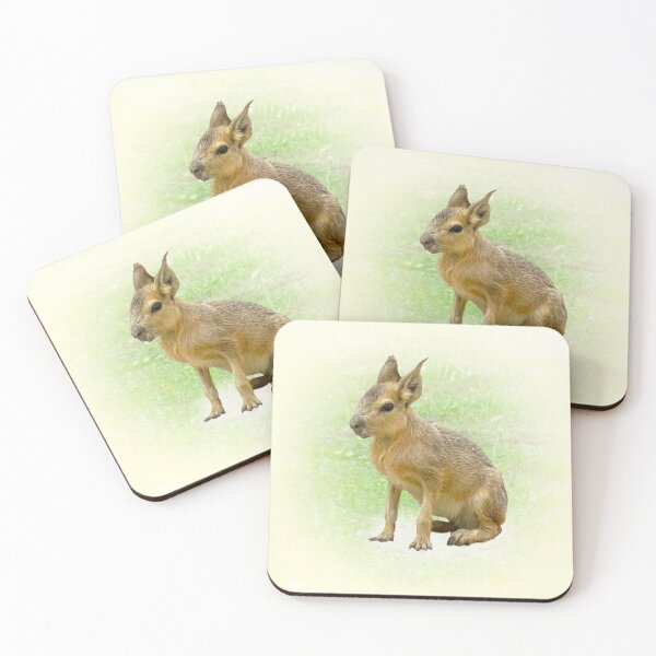 Item preview, Little patagonian Mara designed and sold by Guardi71.