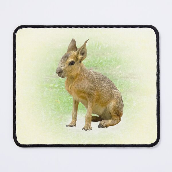 Item preview, Little patagonian Mara designed and sold by Guardi71.