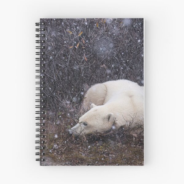 Item preview, Waiting for Freeze-Up designed and sold by Heather  Hinam.