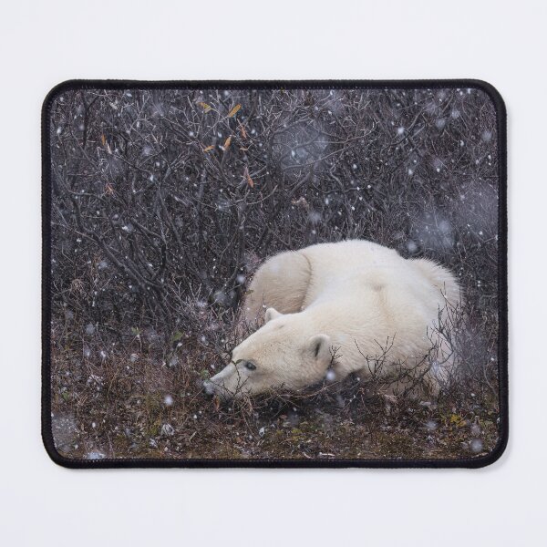 Item preview, Waiting for Freeze-Up designed and sold by Heather  Hinam.