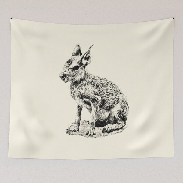 Item preview, Little Patagonian Mara designed and sold by Guardi71.