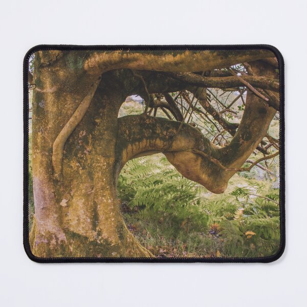 Item preview, Regal designed and sold by Christine Lake.