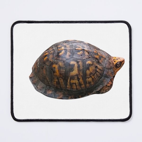 Item preview, Turtle designed and sold by ciarameadows.