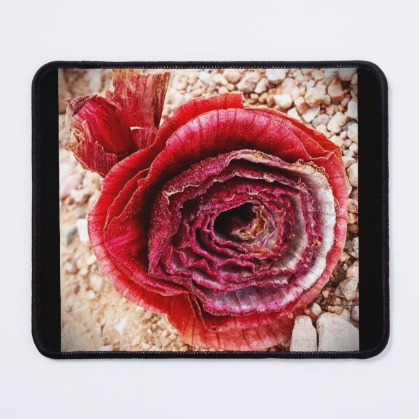 Item preview, Onion Flower designed and sold by craftsbydaphy.