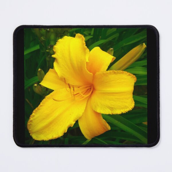 Item preview, Day Lilly designed and sold by craftsbydaphy.