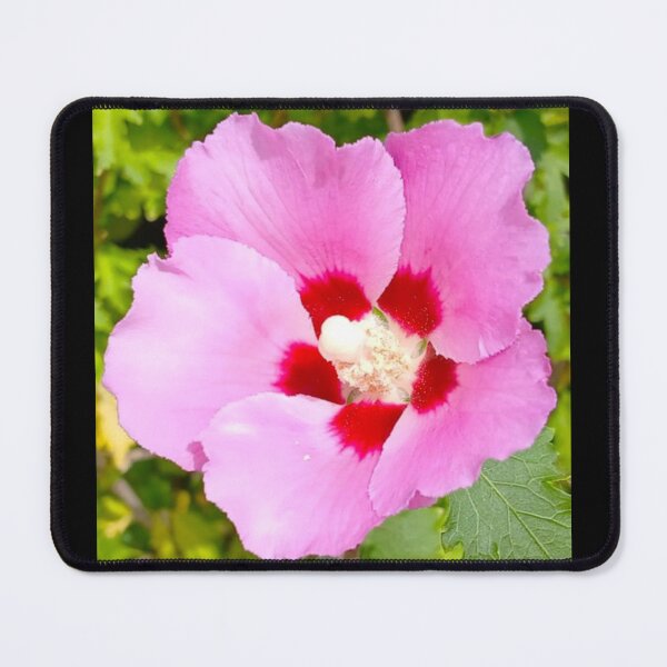 Item preview, Pink Hibiscus designed and sold by craftsbydaphy.