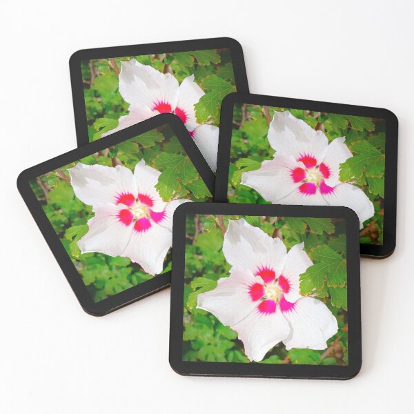 Item preview, White Hibiscus designed and sold by craftsbydaphy.