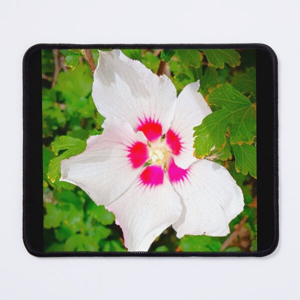 Item preview, White Hibiscus designed and sold by craftsbydaphy.