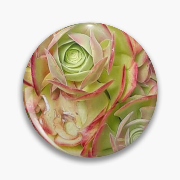 Item preview, House Leeks designed and sold by craftsbydaphy.