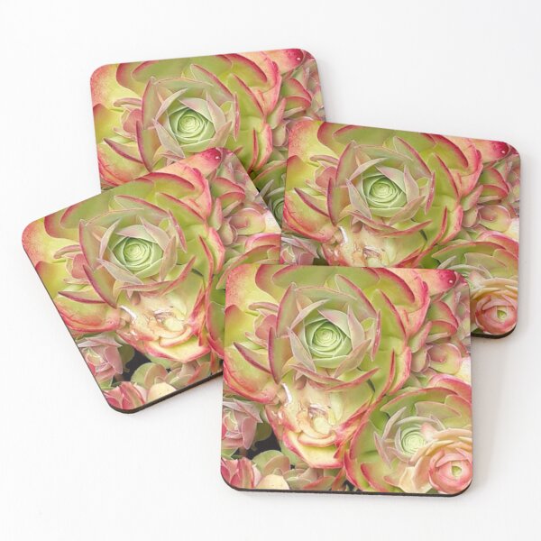 Item preview, House Leeks designed and sold by craftsbydaphy.