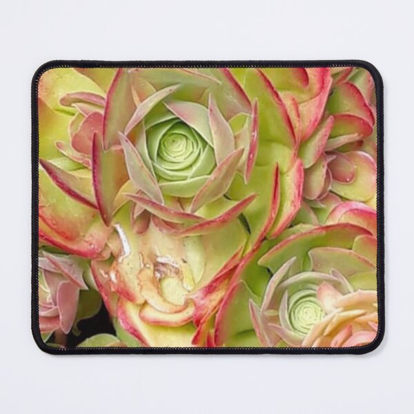 Item preview, House Leeks designed and sold by craftsbydaphy.