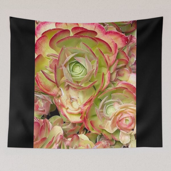 Item preview, House Leeks designed and sold by craftsbydaphy.