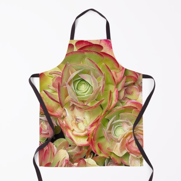 Item preview, House Leeks designed and sold by craftsbydaphy.