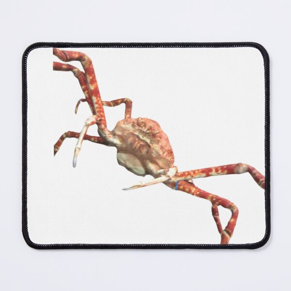 Item preview, Spider crab designed and sold by ciarameadows.