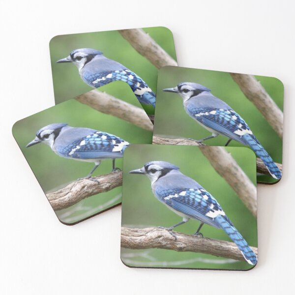 Item preview, BlueJay designed and sold by UmbreMoon.