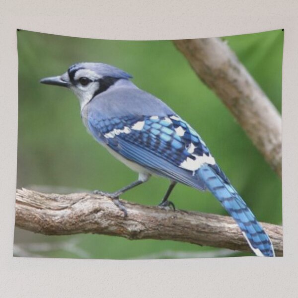 Item preview, BlueJay designed and sold by UmbreMoon.