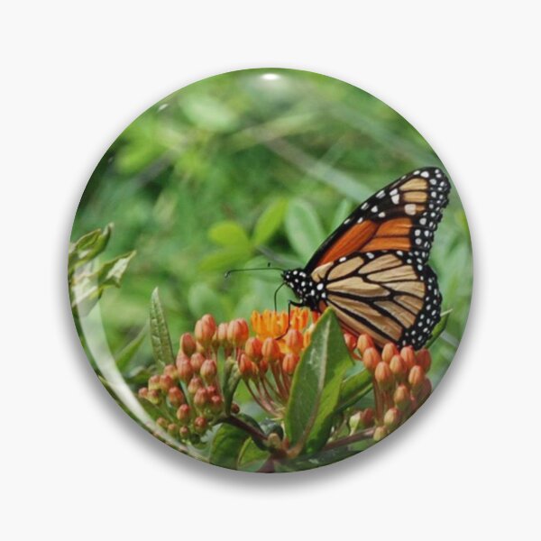 Item preview, Butterfly Amongst the Milkweed  designed and sold by UmbreMoon.