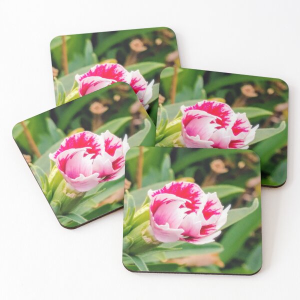 Item preview, Pink Dianthus Flower  designed and sold by luinaregtere.