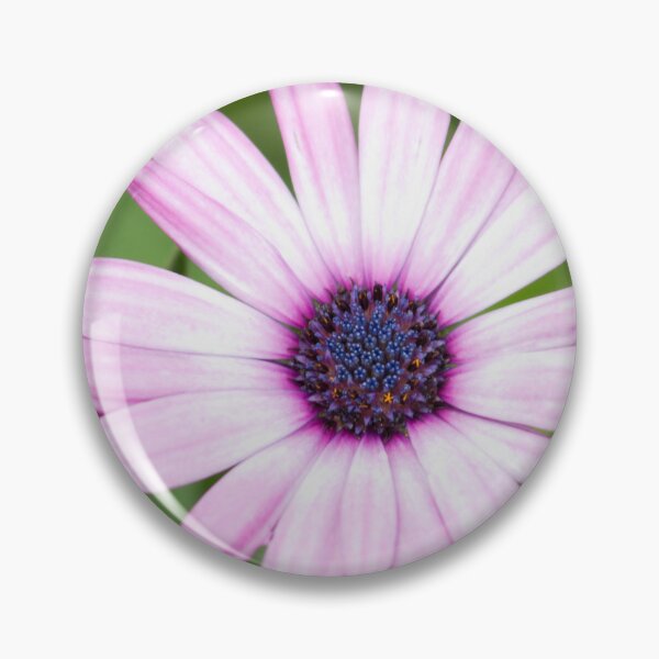 Item preview, Osteospermum Flower designed and sold by Stingray.