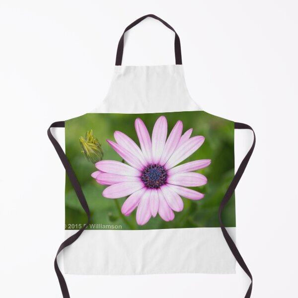 Item preview, Osteospermum Flower designed and sold by Stingray.