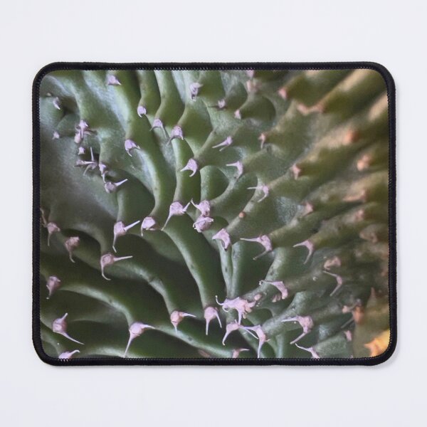 Item preview, Candelabra Cactus designed and sold by Betsy Phillips.