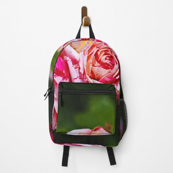 Item preview, Three Pink Variegated Roses designed and sold by Joy Watson - Natural Light Photography .